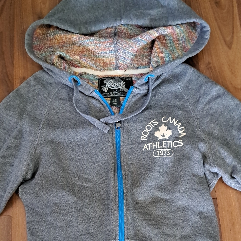 Roots Gray Hoodie with Blue Accents - Picture 3 of 5
